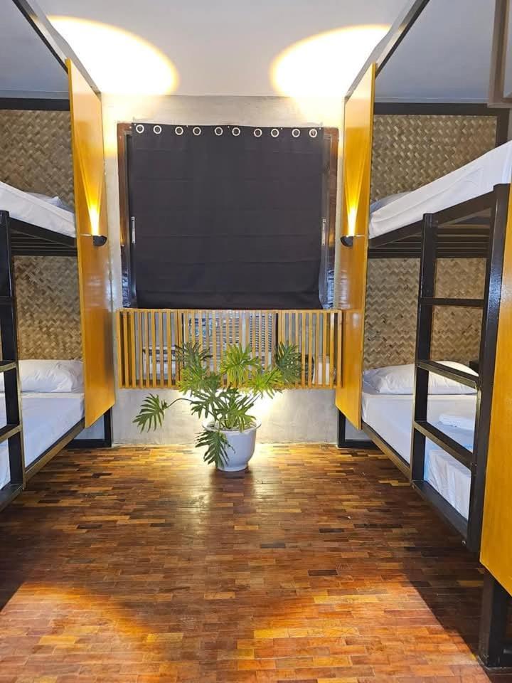 Reef Hostel بويرتو برينسيسا المظهر الخارجي الصورة